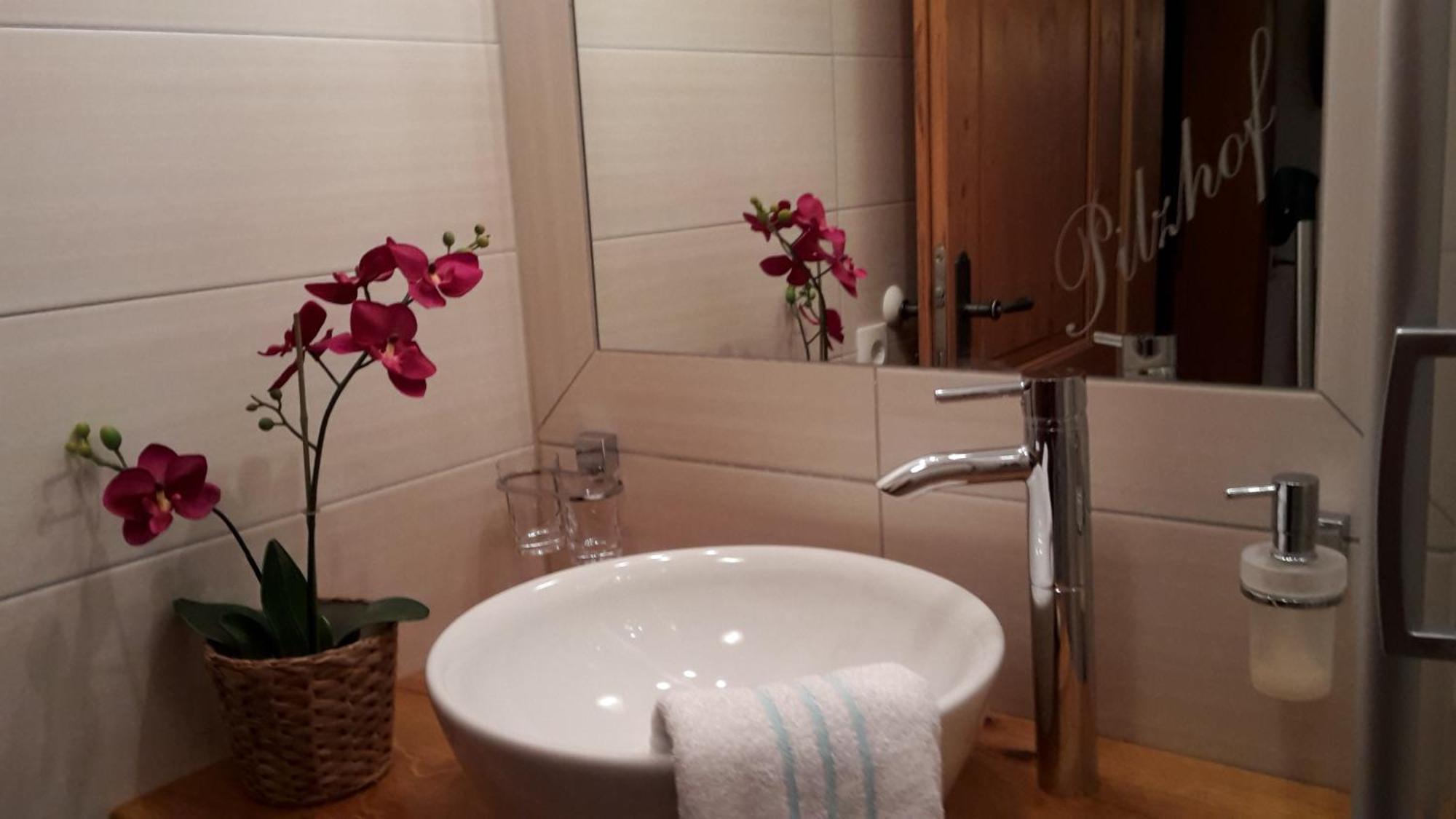 Appartement Pilzhof Filzmoos Extérieur photo